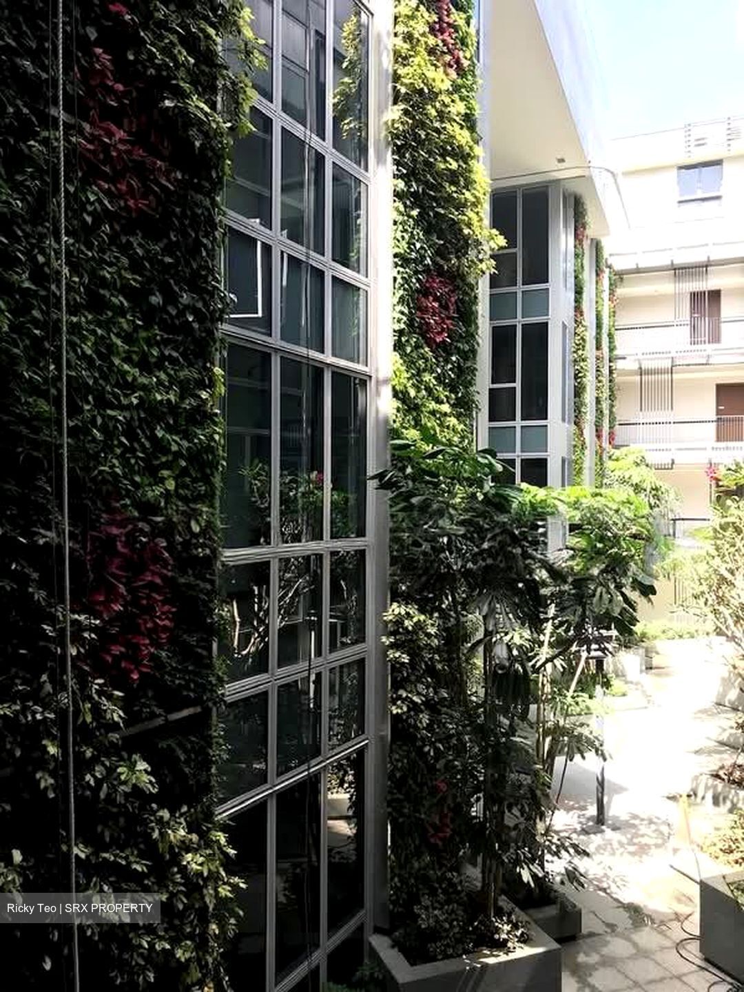 Bijou (D5), Apartment #537914531